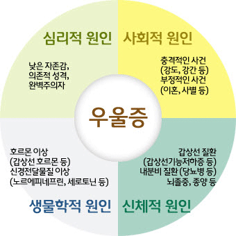 우울증 원인 도식화 이미지